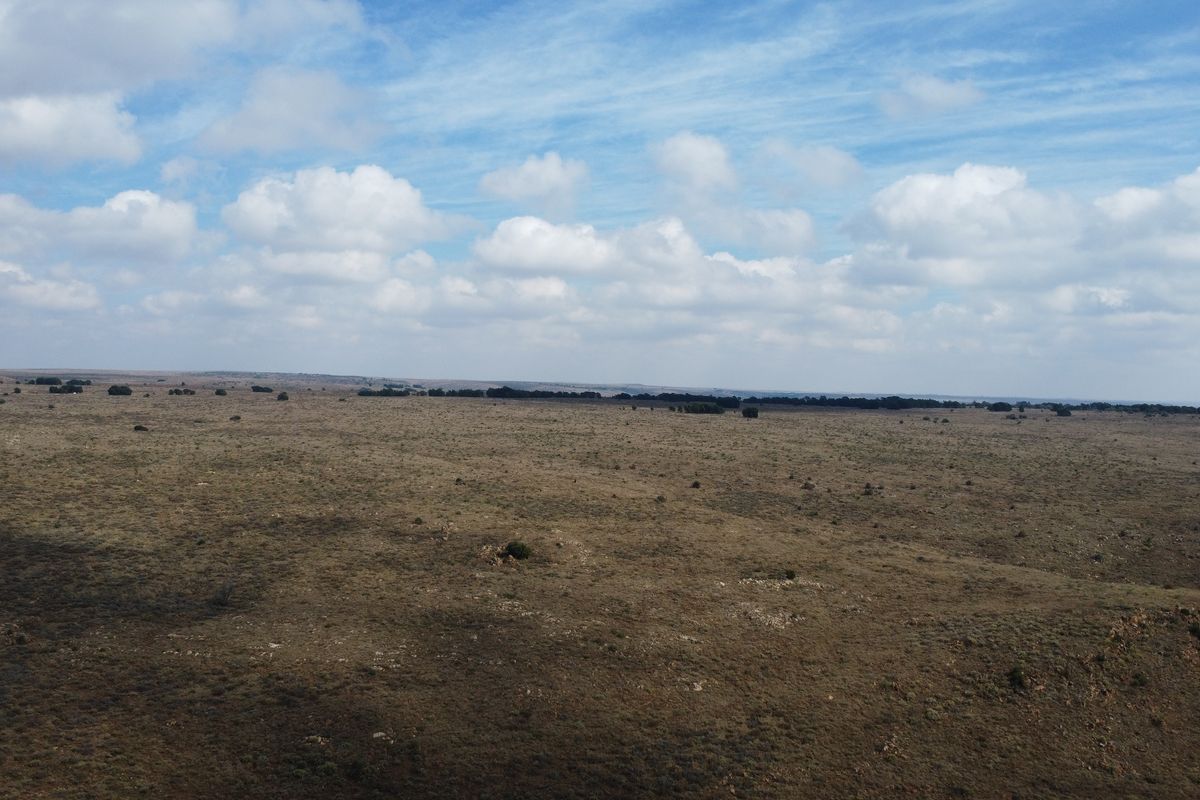 Expand Your Herd with This Excellent Grazing Land - Photo 3