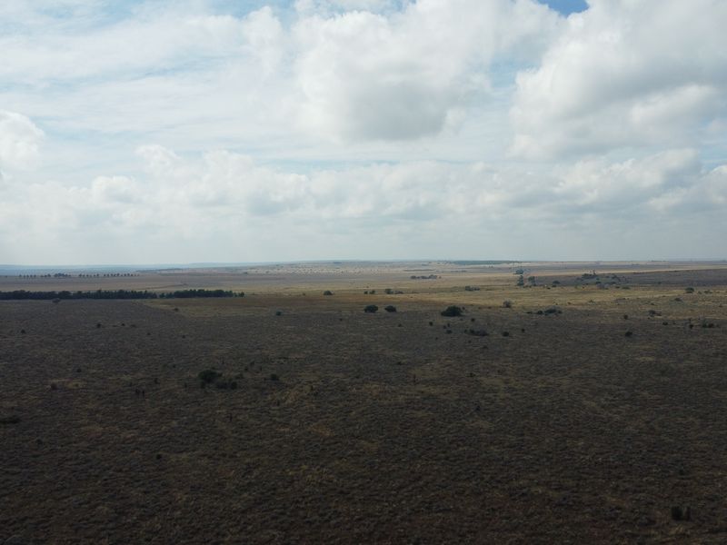 Expand Your Herd with This Excellent Grazing Land - Photo 5