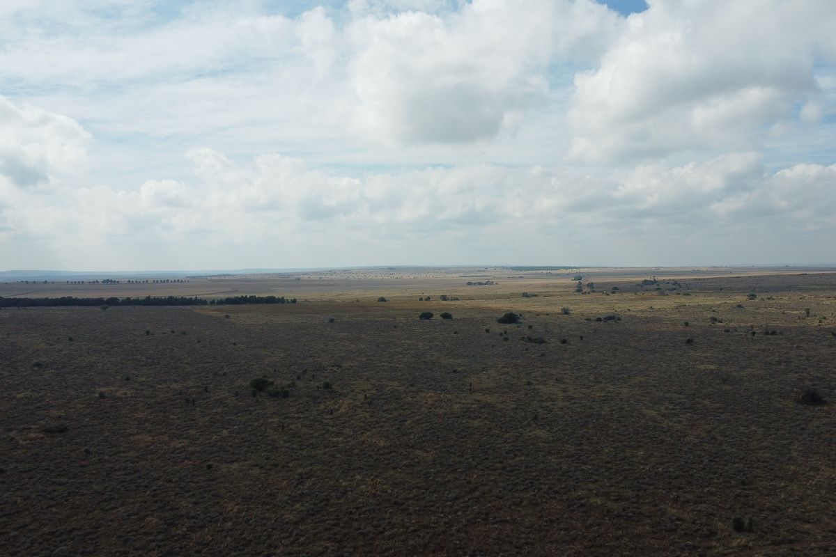 Expand Your Herd with This Excellent Grazing Land - Photo 5