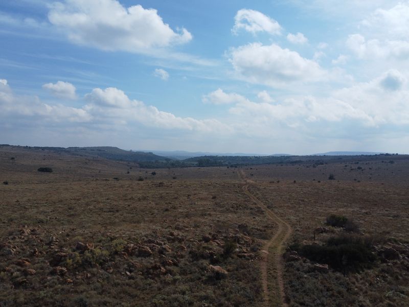 Expand Your Herd with This Excellent Grazing Land - Photo 8