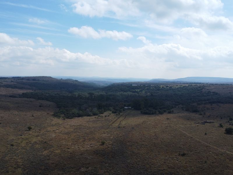 Expand Your Herd with This Excellent Grazing Land - Photo 7