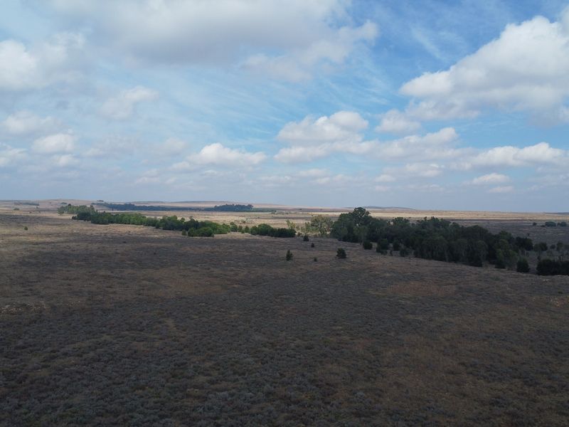 Expand Your Herd with This Excellent Grazing Land - Photo 6