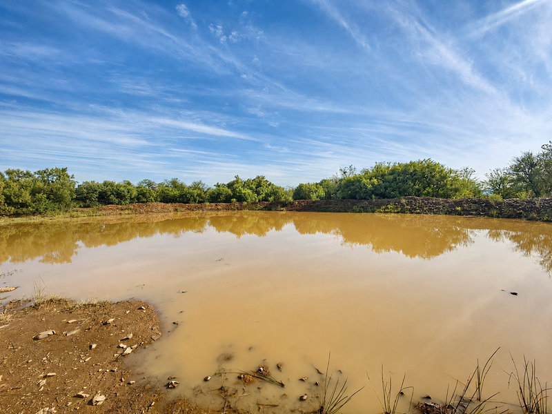 A wide-angle view of a natural earthen farm dam surrounded by indigenous vegetation under a clear blue sky.