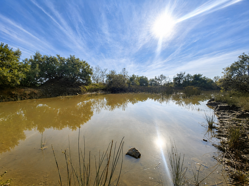 A scenic view of a natural farm pond surrounded by native trees and vegetation under a bright blue sky.