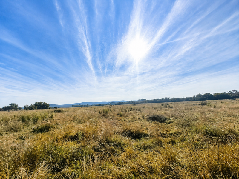 A wide-angle view of the expansive open grassland and natural landscape on the farm property under a bright, clear sky.