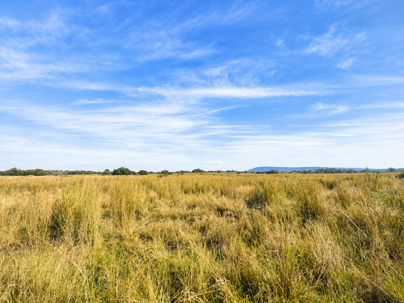 Expansive open grassland landscape view under a clear blue sky, showcasing the natural terrain of the farm property.