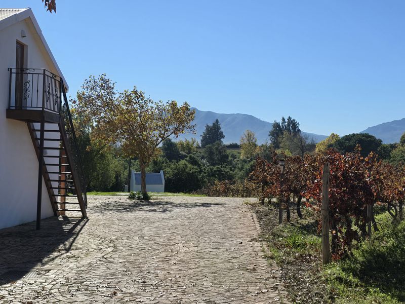 Small Boutique Wine Farm for sale in Wellington - Photo 4