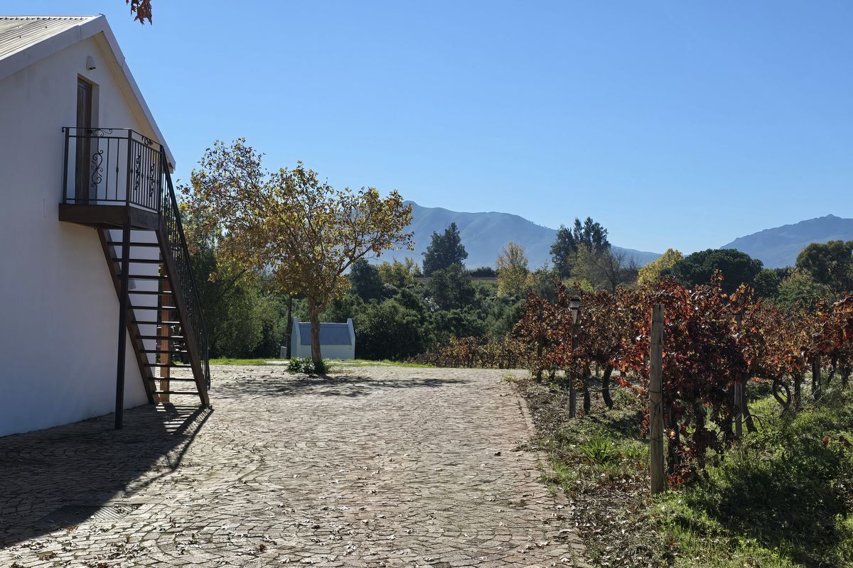 Small Boutique Wine Farm for sale in Wellington - Photo 4