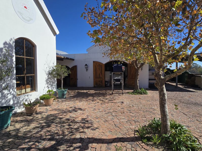 Small Boutique Wine Farm for sale in Wellington - Photo 7