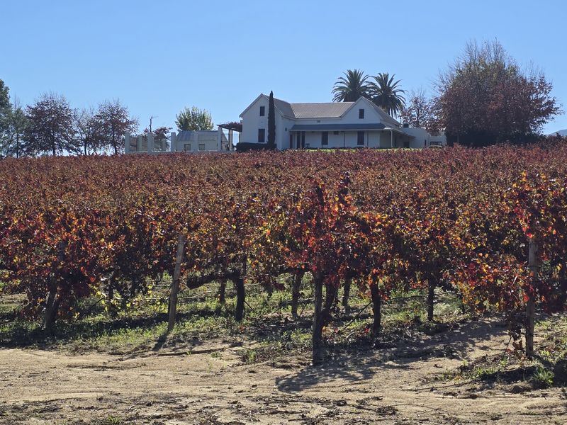Small Boutique Wine Farm for sale in Wellington - Photo 2