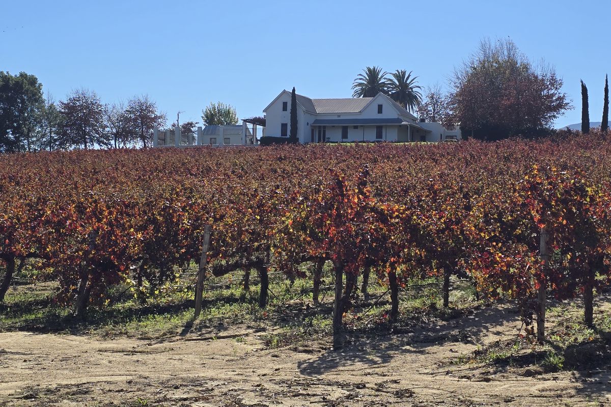 Small Boutique Wine Farm for sale in Wellington - Photo 2