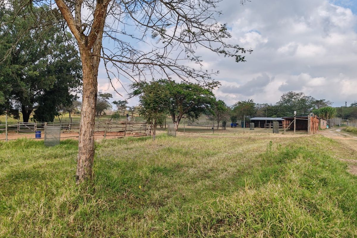 Expansive farm grounds featuring fenced paddocks, open grazing land, and established outbuildings under a cloudy sky.