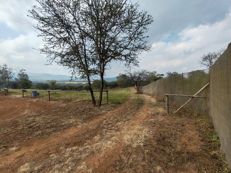 9 Hectare Development & Lifestyle Property – Prime Location on the R524 Near Louis Trichardt Price: - Photo 5