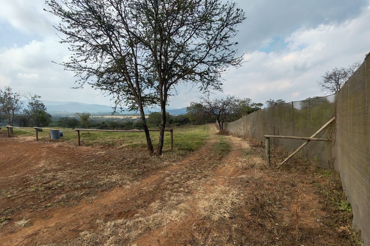 9 Hectare Development & Lifestyle Property – Prime Location on the R524 Near Louis Trichardt Price: - Photo 5