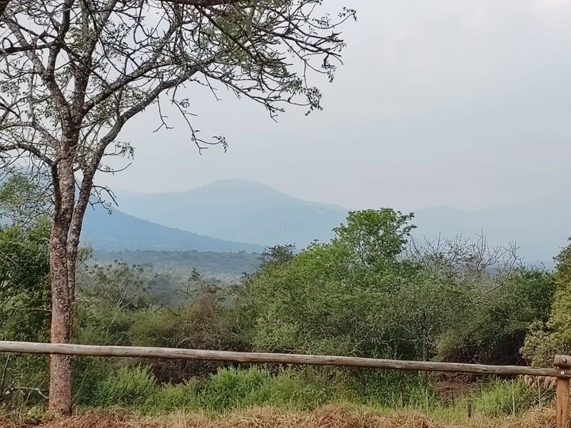 9 Hectare Development & Lifestyle Property – Prime Location on the R524 Near Louis Trichardt Price: - Photo 3