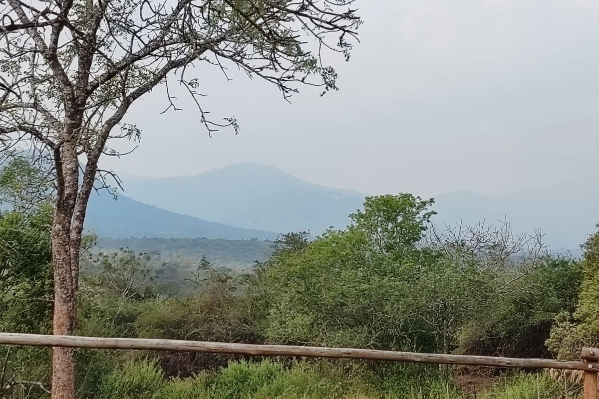 9 Hectare Development & Lifestyle Property – Prime Location on the R524 Near Louis Trichardt Price: - Photo 3