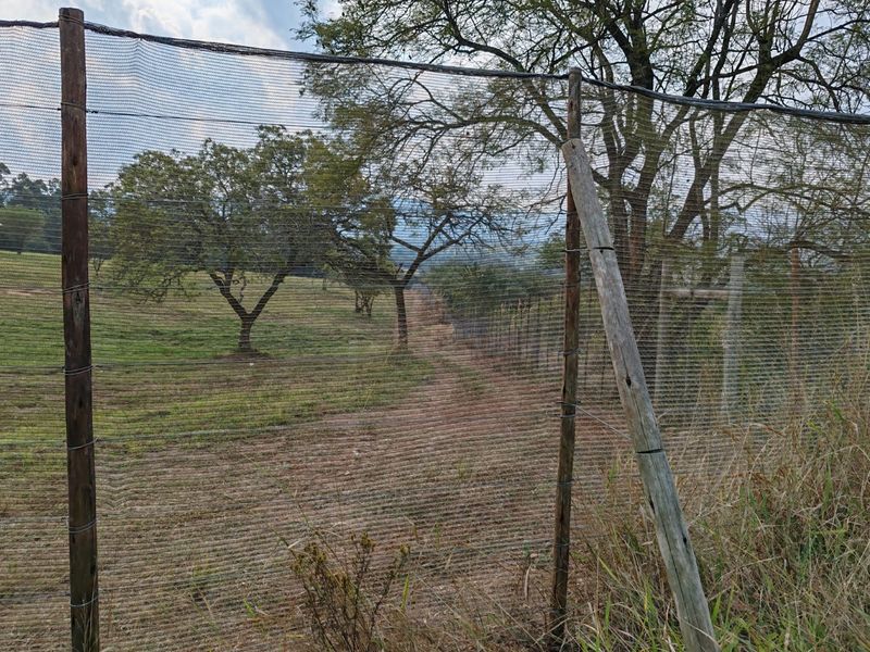 9 Hectare Development & Lifestyle Property – Prime Location on the R524 Near Louis Trichardt Price: - Photo 6