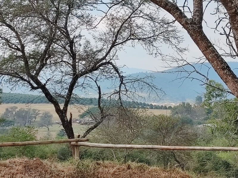 9 Hectare Development & Lifestyle Property – Prime Location on the R524 Near Louis Trichardt Price: - Photo 2