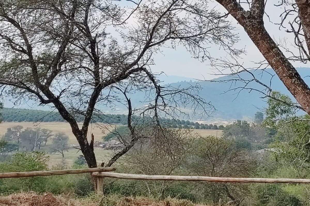 9 Hectare Development & Lifestyle Property – Prime Location on the R524 Near Louis Trichardt Price: - Photo 2