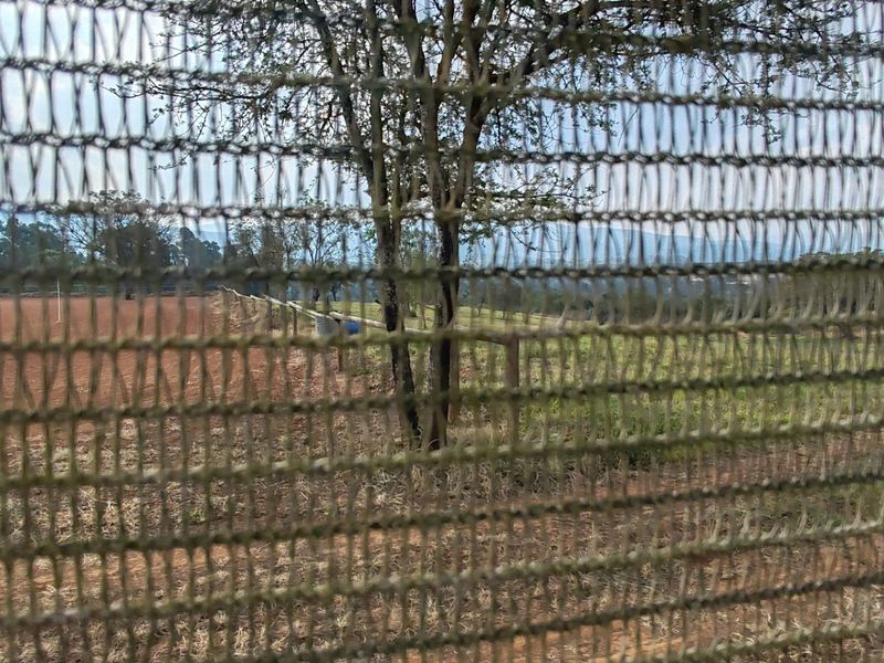 9 Hectare Development & Lifestyle Property – Prime Location on the R524 Near Louis Trichardt Price: - Photo 7