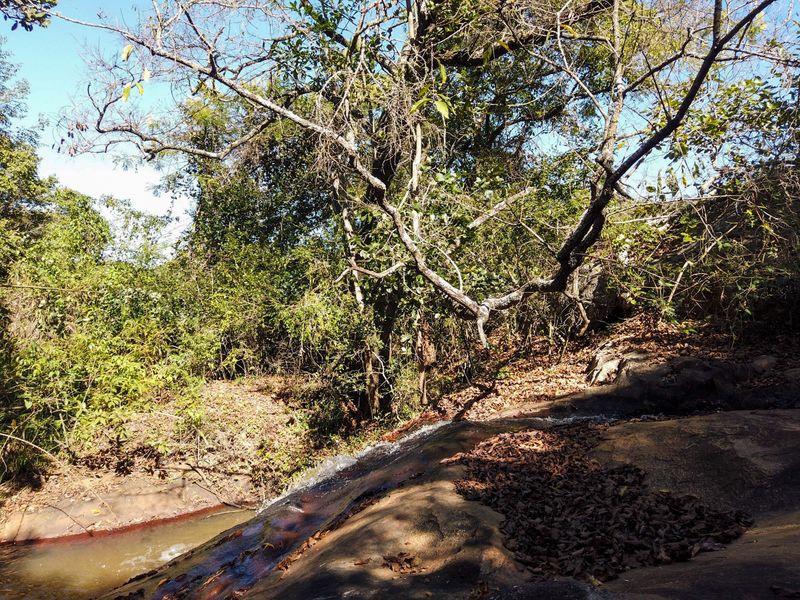 A JEWEL IN THE HEART OF THE LOWVELD - THE MOST STUNNING FARM NEAR WHITE RVER - Photo 1