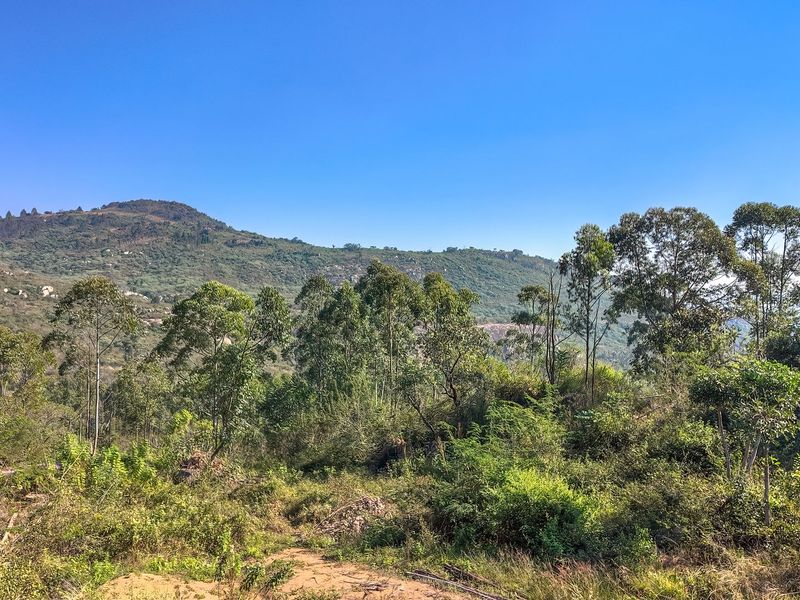 A scenic, elevated view of the surrounding natural landscape, featuring rolling hills and dense indigenous vegetation.
