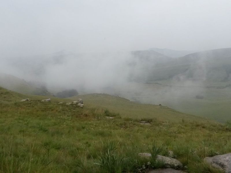 A scenic, misty landscape view overlooking the rolling hills and natural terrain of the farm property.
