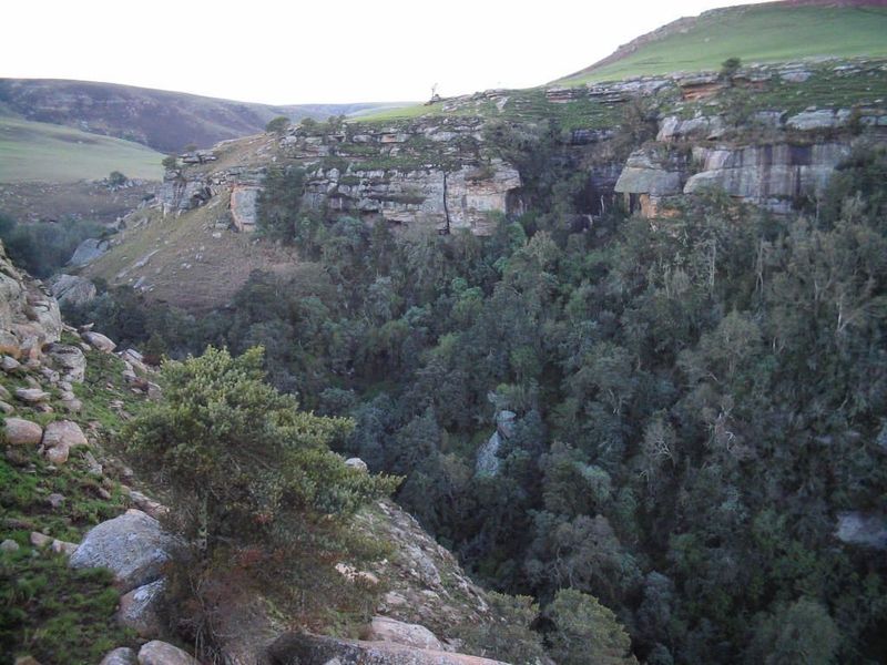 A scenic view of a rugged rocky cliff face overlooking a dense indigenous forest valley on the farm property.