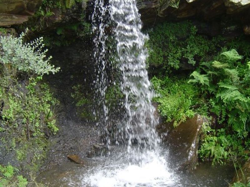 A scenic view of a natural waterfall cascading over a rocky cliff face into a small pool on the farm property.