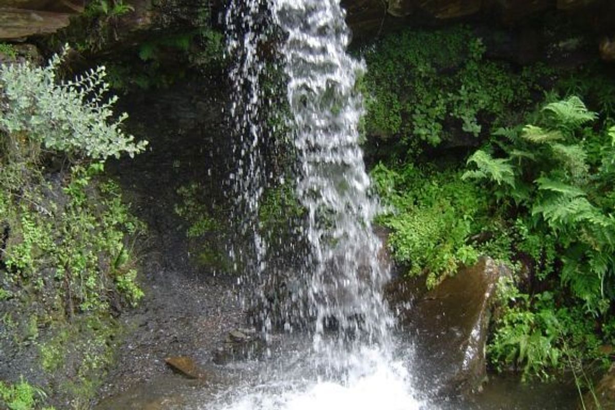 A scenic view of a natural waterfall cascading over a rocky cliff face into a small pool on the farm property.