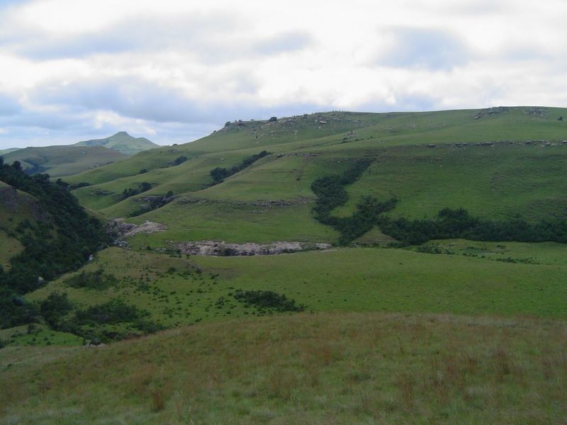 A scenic landscape view of rolling green hills and natural terrain characteristic of the farm property.