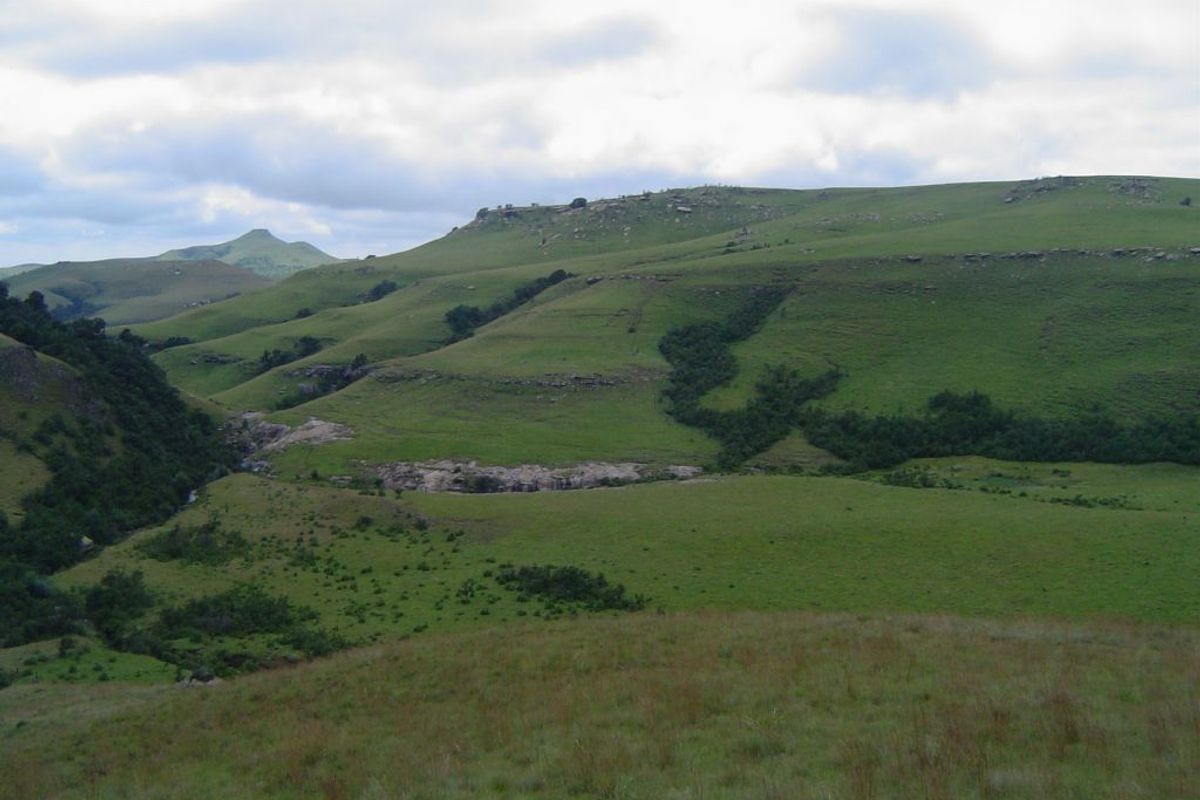 A scenic landscape view of rolling green hills and natural terrain characteristic of the farm property.