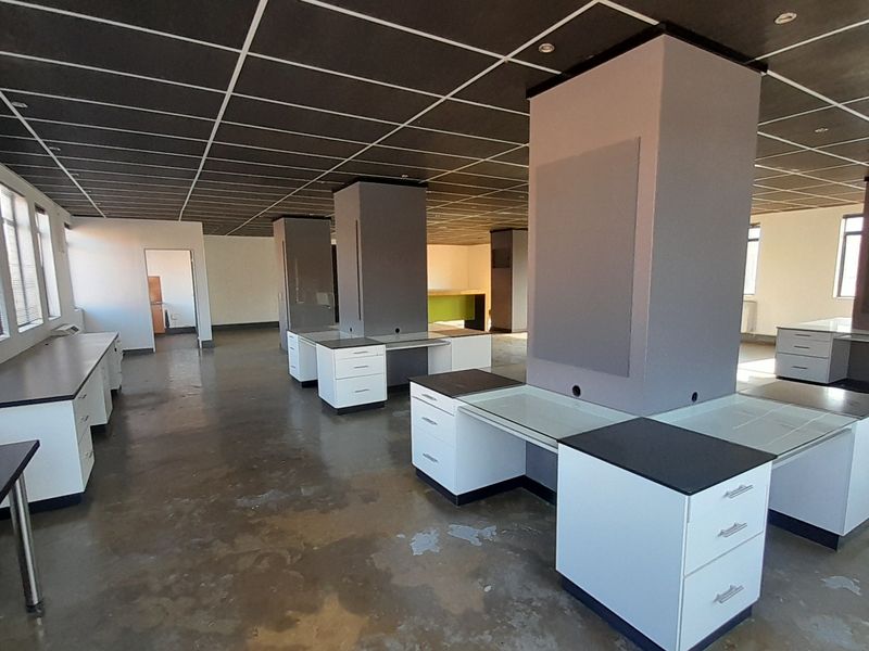 Premium Boardwalk Office with Parking Included and Move In Ready Layout - Photo 8
