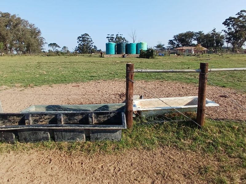 Open farm land featuring livestock water troughs, timber fencing, and multiple water storage tanks set against a rural landscape.