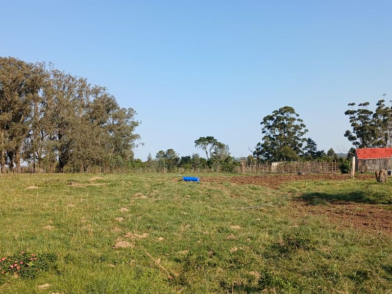 A wide-angle view of the farm property featuring open grazing land, mature trees, and a small outbuilding with a red roof.