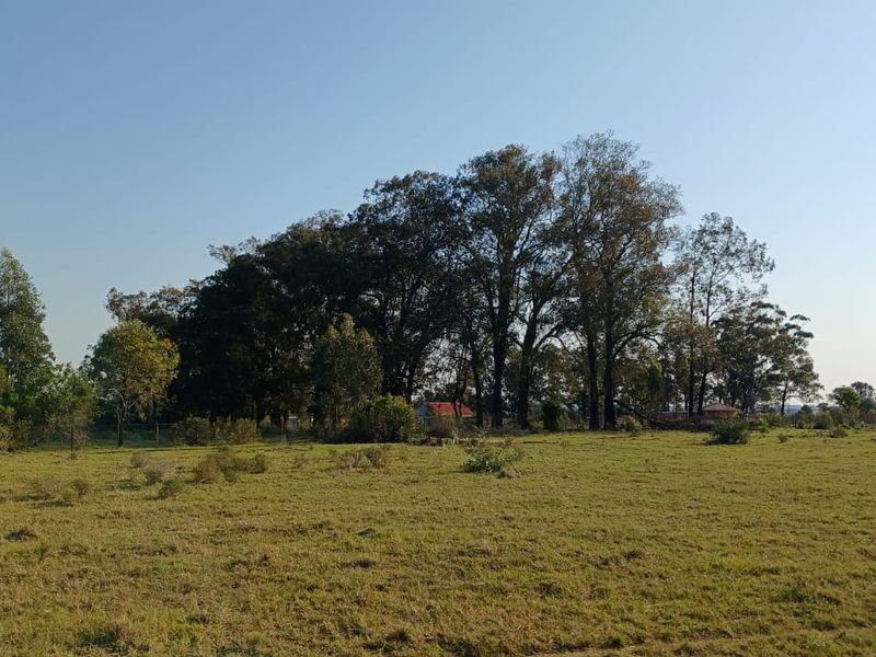 A wide view of the farm property featuring open pasture land and a cluster of mature trees.