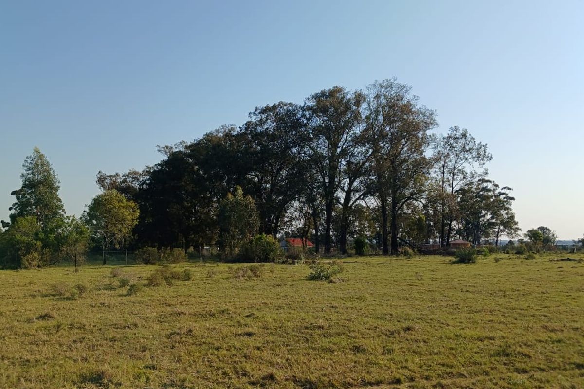 A wide view of the farm property featuring open pasture land and a cluster of mature trees.