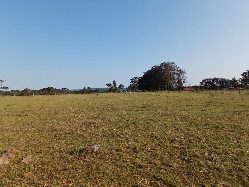A wide, open expanse of rural farmland featuring natural grass terrain and distant tree lines under a clear blue sky.