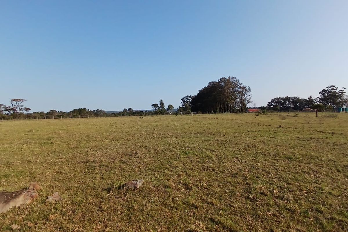 A wide, open expanse of rural farmland featuring natural grass terrain and distant tree lines under a clear blue sky.
