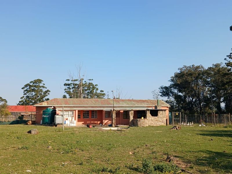 Rear view of a farm dwelling featuring a corrugated metal roof, stone-clad outdoor fireplace, and surrounding open pasture land.