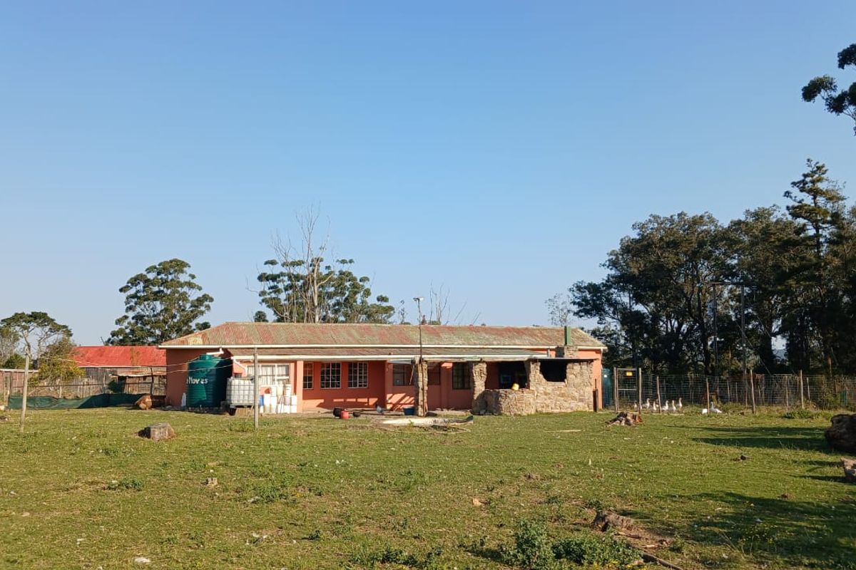 Rear view of a farm dwelling featuring a corrugated metal roof, stone-clad outdoor fireplace, and surrounding open pasture land.