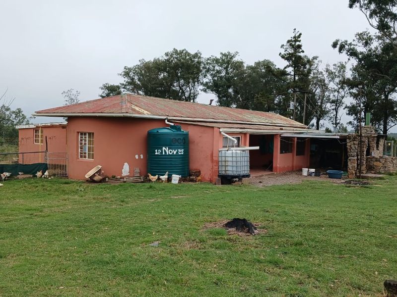 Rear view of a farm dwelling featuring a corrugated metal roof, water storage tanks, and a stone-clad outdoor fireplace set within a rural landscape.