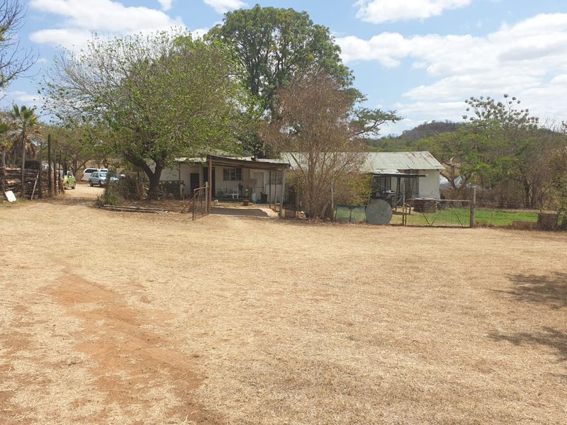 Prime Agricultural & Rental Investment – 12.09ha Farm with Pecan Orchards - Photo 7