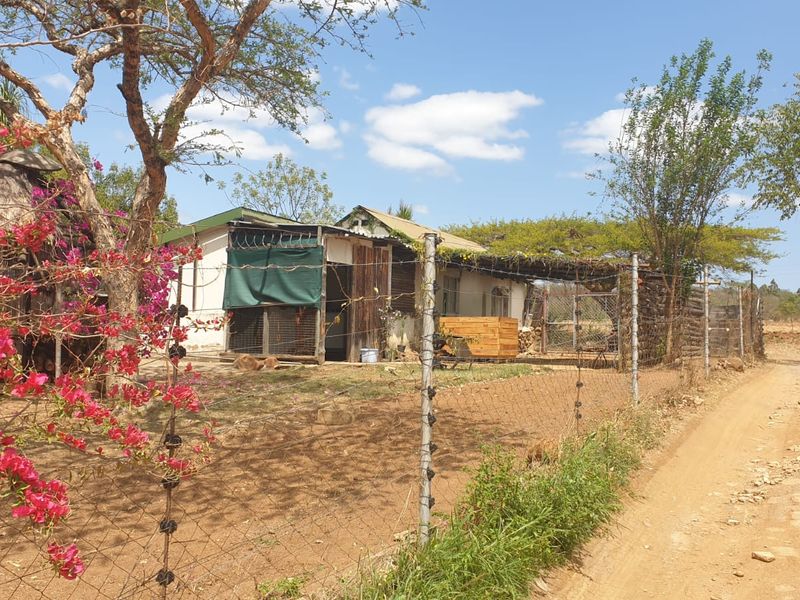 Prime Agricultural & Rental Investment – 12.09ha Farm with Pecan Orchards - Photo 3