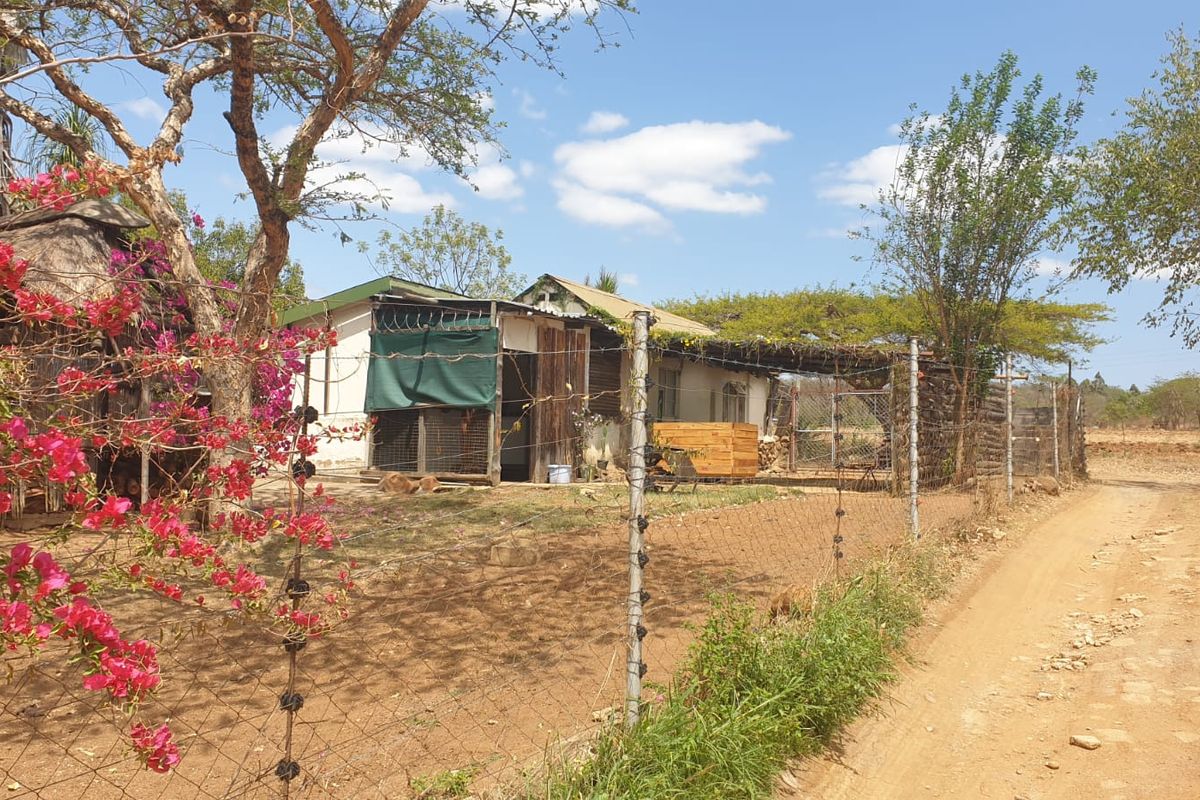 Prime Agricultural & Rental Investment – 12.09ha Farm with Pecan Orchards - Photo 3