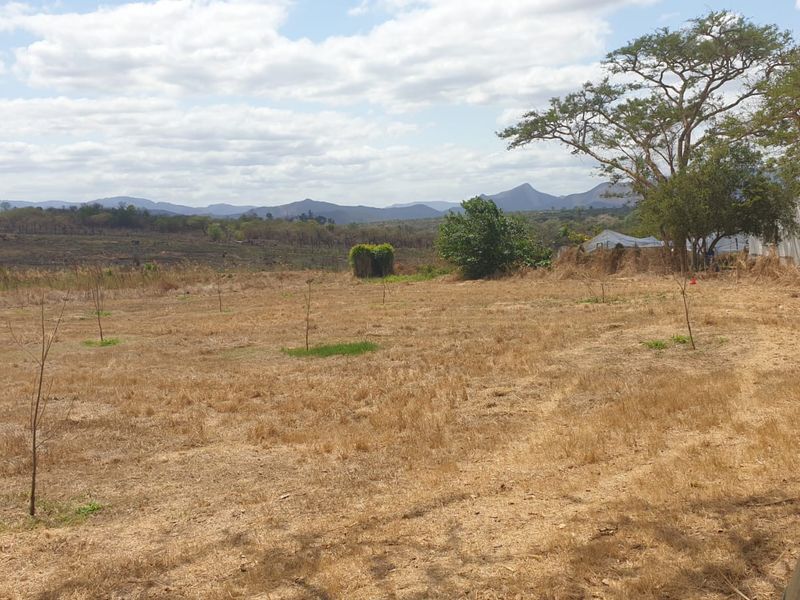Prime Agricultural & Rental Investment – 12.09ha Farm with Pecan Orchards - Photo 4