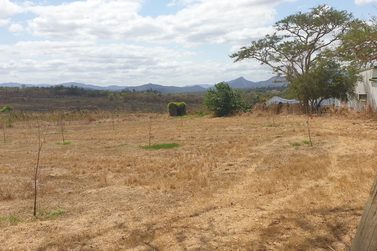Prime Agricultural & Rental Investment – 12.09ha Farm with Pecan Orchards - Photo 4