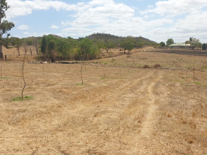 Prime Agricultural & Rental Investment – 12.09ha Farm with Pecan Orchards - Photo 5