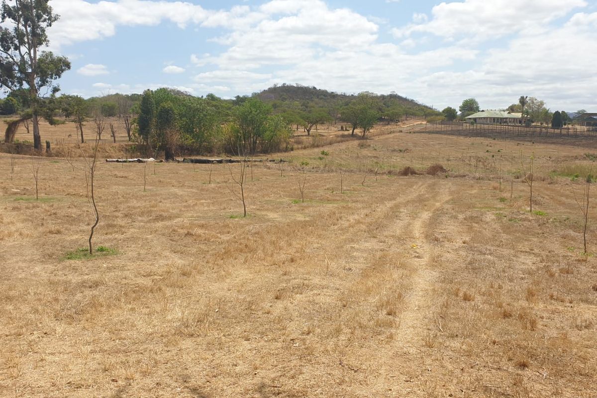 Prime Agricultural & Rental Investment – 12.09ha Farm with Pecan Orchards - Photo 5