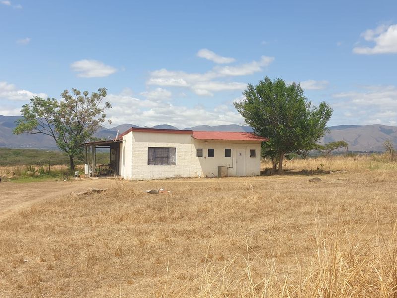 Prime Agricultural & Rental Investment – 12.09ha Farm with Pecan Orchards - Photo 9